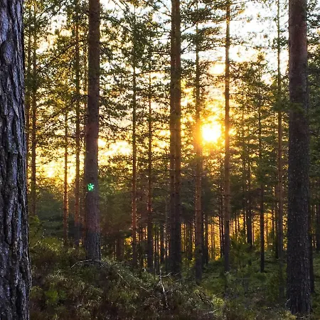 Premium 4109 Blue 度假居