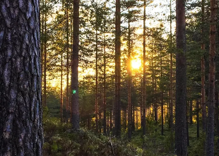 Premium 4109 Blue Casa de Férias